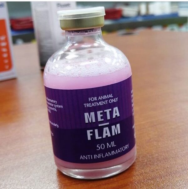 meta flam 50ml