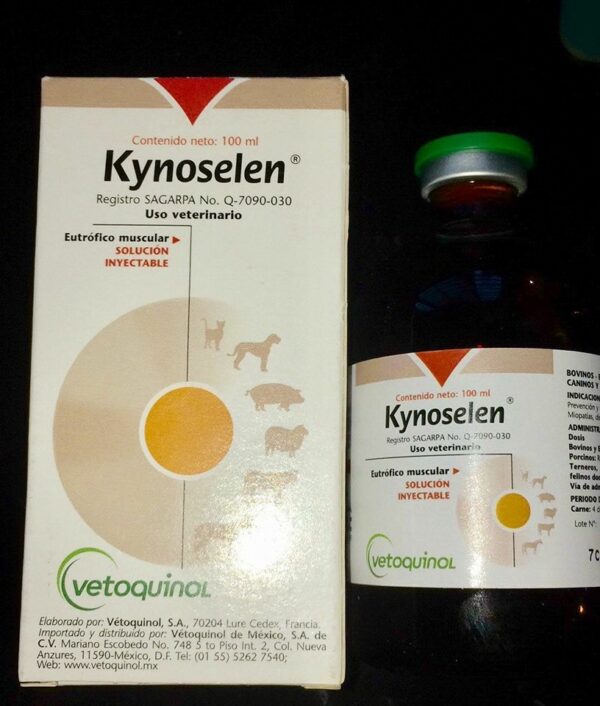 Kynoselen injection 100ml