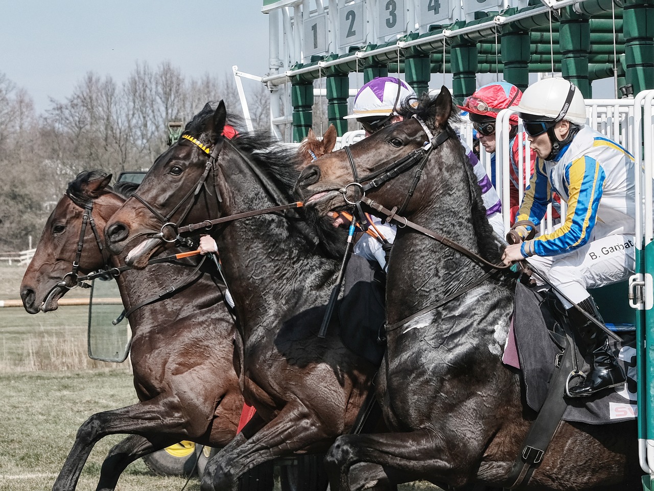 bremer rennverein, horse race, the day of the race-3283491.jpg