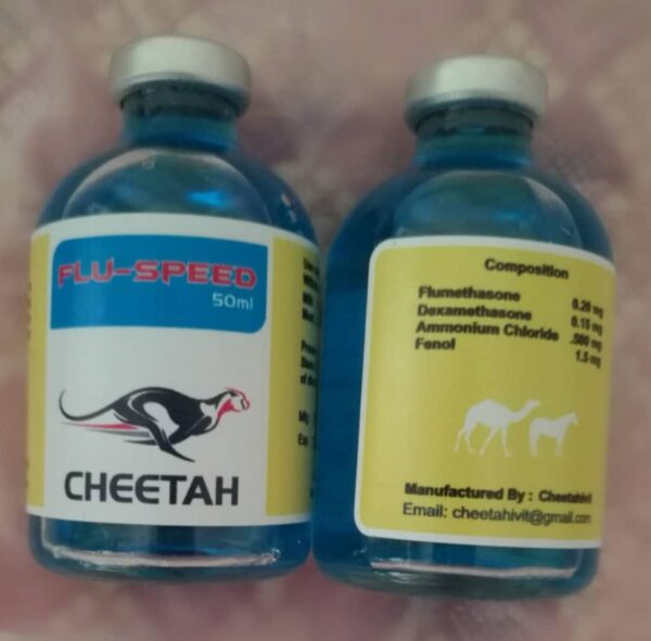 Flu-speed cheetah