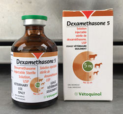 Dexamethasone 5