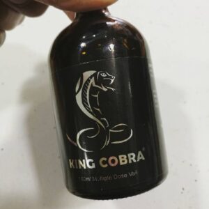 King cobra