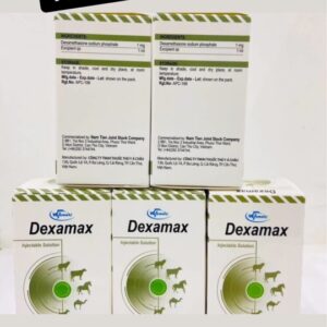 Dexamax injection