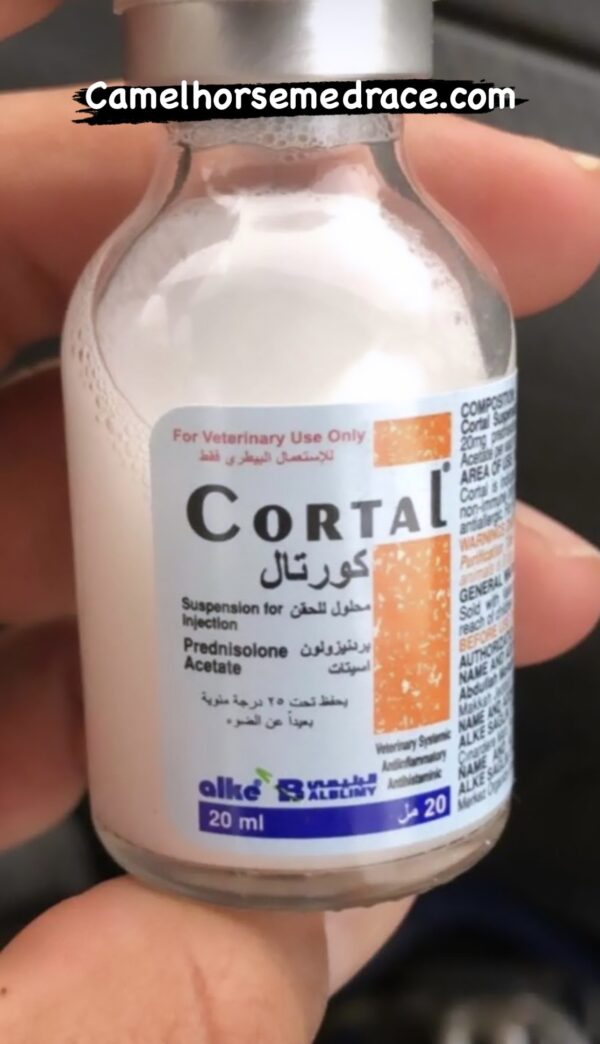 CORTAL 20ML