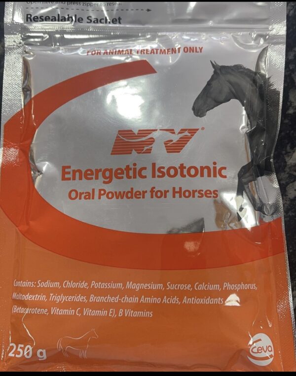 ENERGETIC ISOTONIC POWER 250g